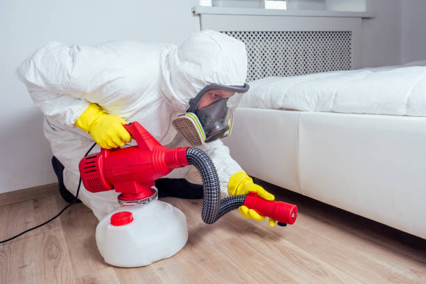 Best Local Pest Control Services  in St Charles, MI