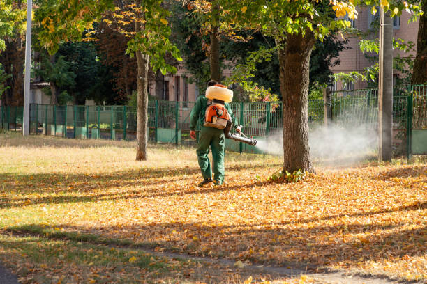 Best Best Pest Control Companies  in St Charles, MI