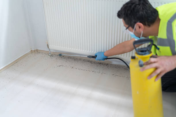 Reliable St Charles, MI Pest Control Solutions